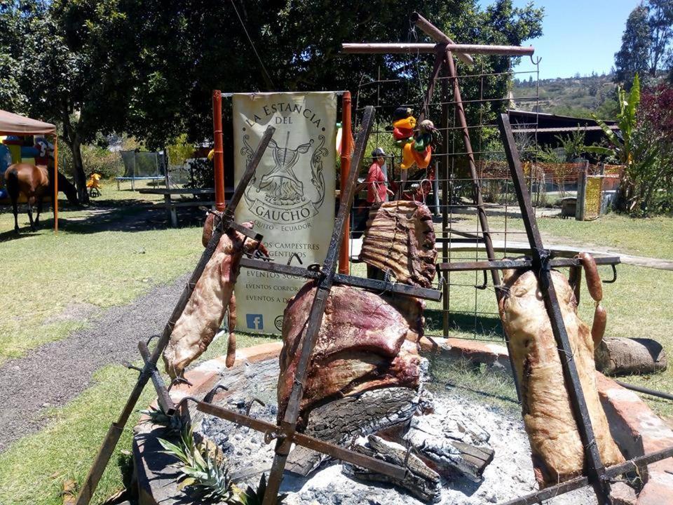 Nayon Xtreme Valley Hotel Quito Kültér fotó